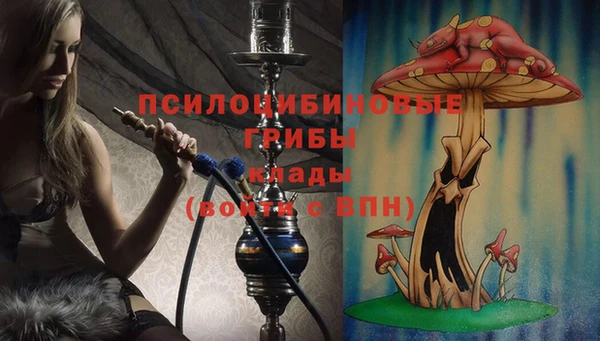 спиды Надым