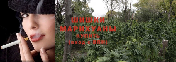 спиды Надым