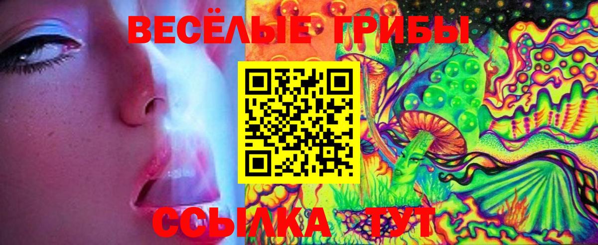 Тверь  Псилоцибиновые грибы Magic Shrooms  Галлюциногенные грибы Psilocybe  Вход с VPN 