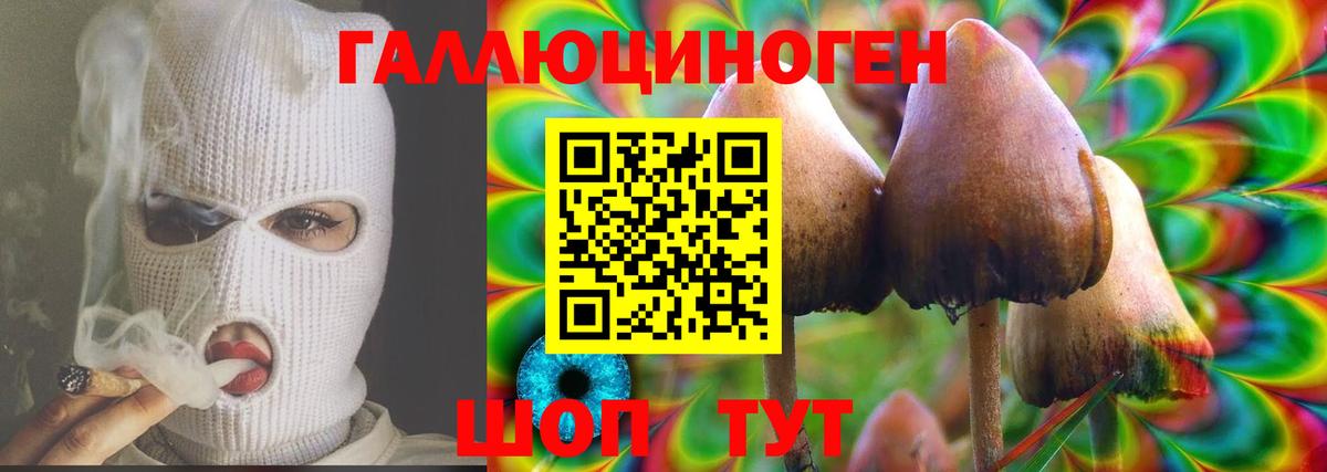 Псилоцибиновые грибы ЛСД  Тверь 